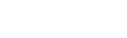 Business Process Partners Logo